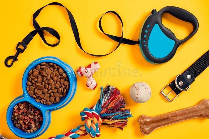 Pet Supplies